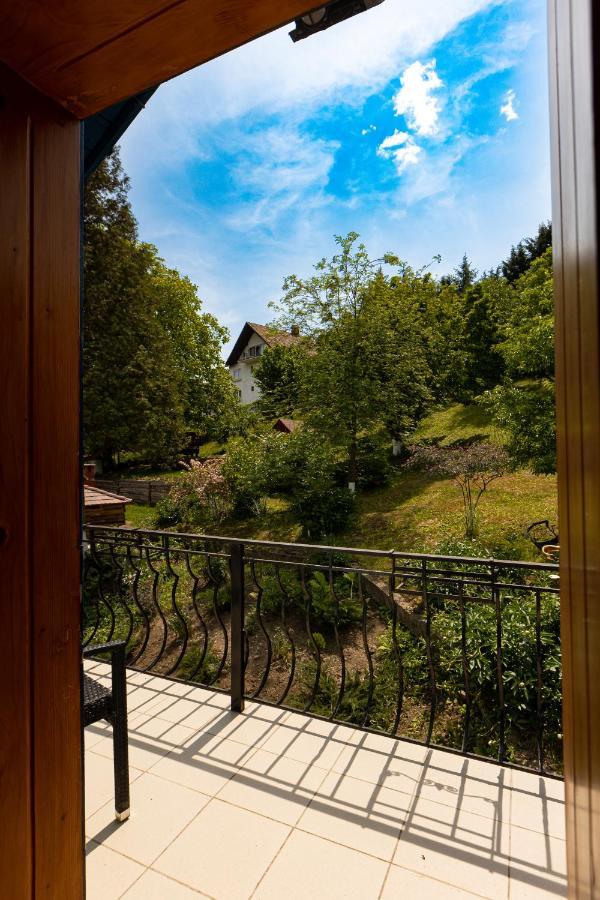Casa Adalmo Hotel Sighişoara Exterior foto